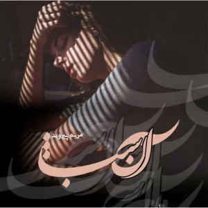 دانلود رمان آن شب از مریم پیروند pdf