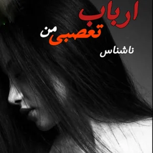 دانلود رمان ارباب تعصبی من پی دی اف داستان سالار و نازگل  از ناشناس PDF [ نسخه کامل ]